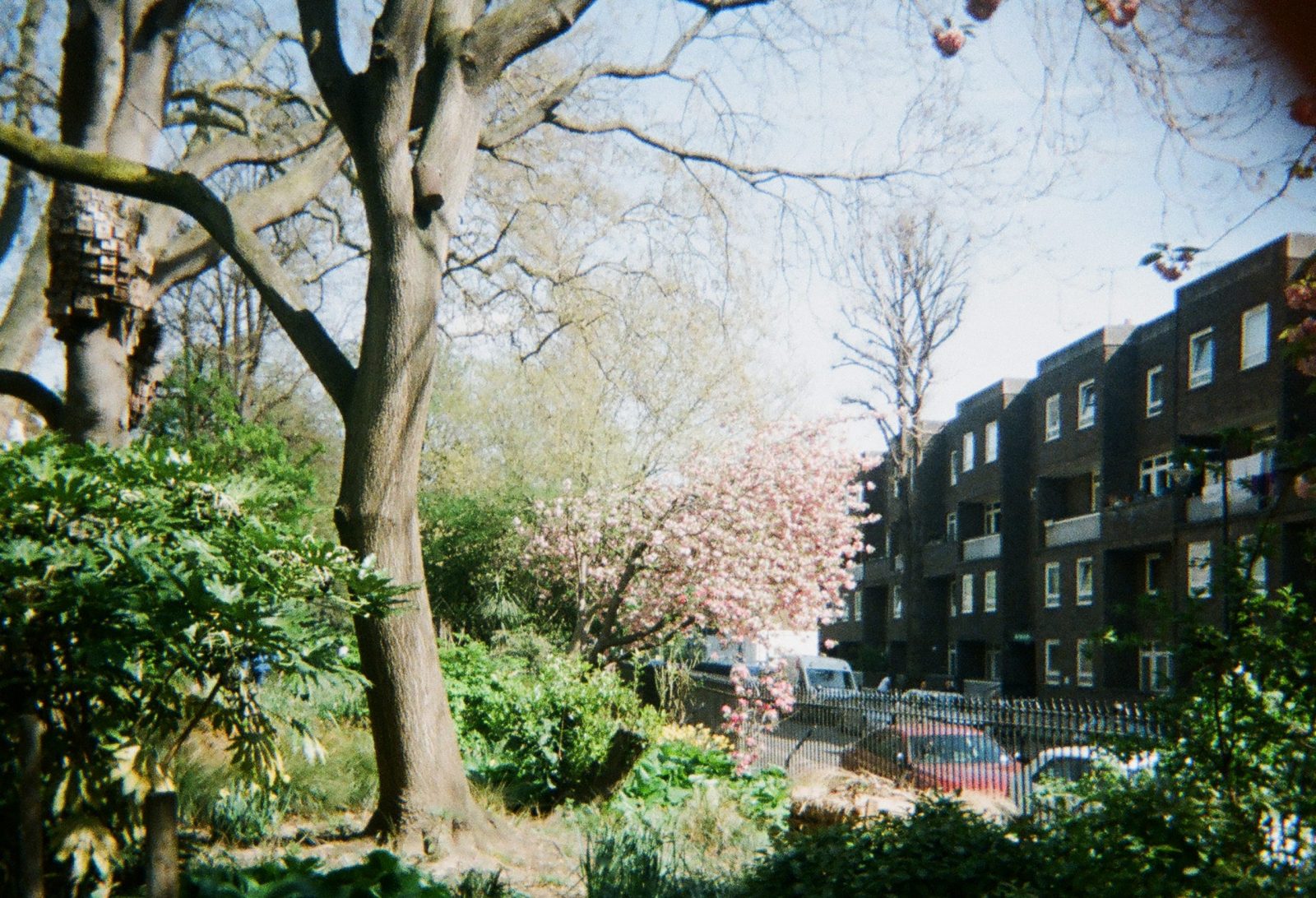 Processed with VSCO with  preset